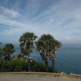 20080707_061