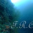 Dscf6078