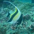 Dscf5038