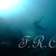 Dscf6072