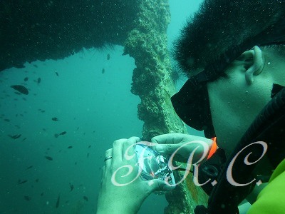 Phuket diving (2)