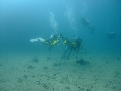 Dscf5121