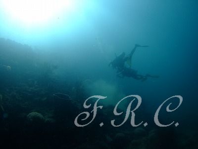 Dscf6072