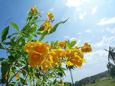 P1170647